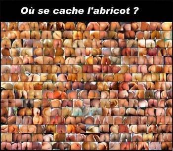 Moi j'ai trouvé  et vs?